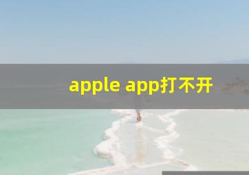 apple app打不开